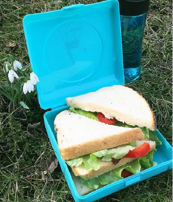 Võileivakarp Carl Oscar Sandwich Box