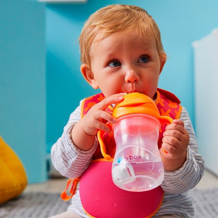 Beebi kõrrega joogipude B.box Sippy Cup Orange Zing