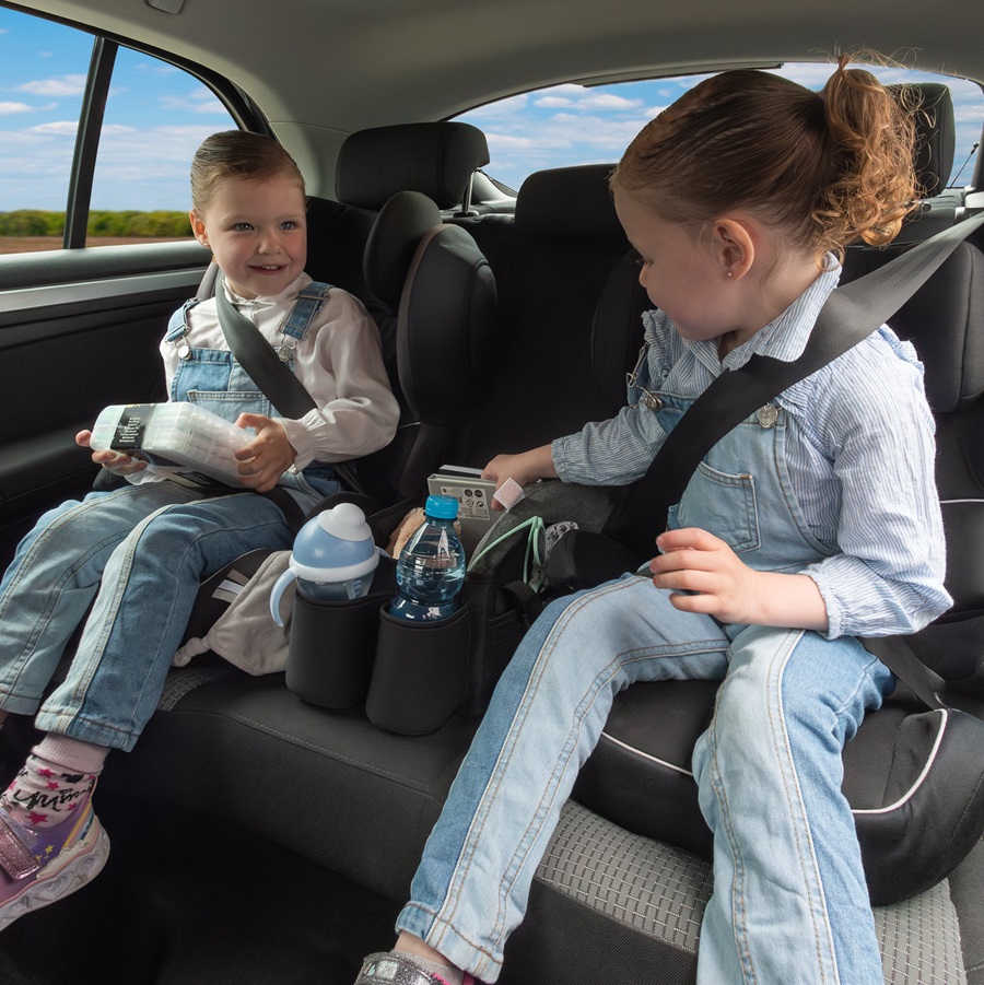 Autoistme organiseerija Dooky Backseat Basket