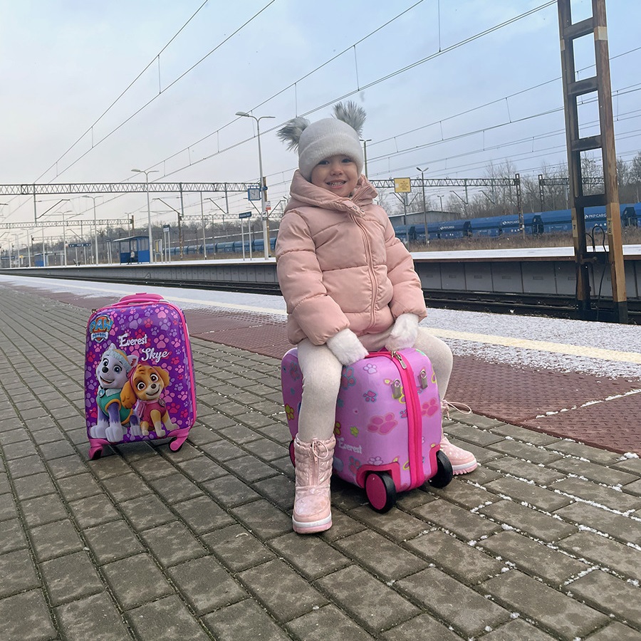 Laste pealistutav reisikohver Paw Patrol Skye & Everest