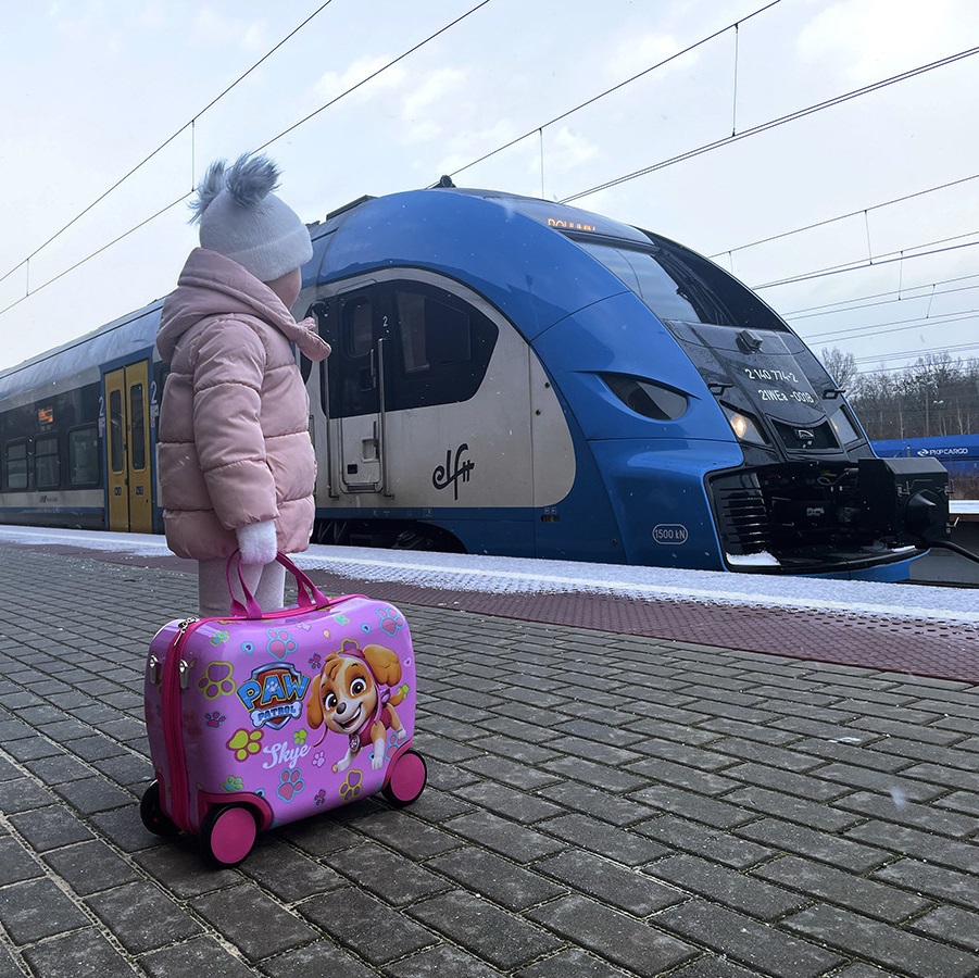 Laste pealistutav reisikohver Paw Patrol Skye & Everest