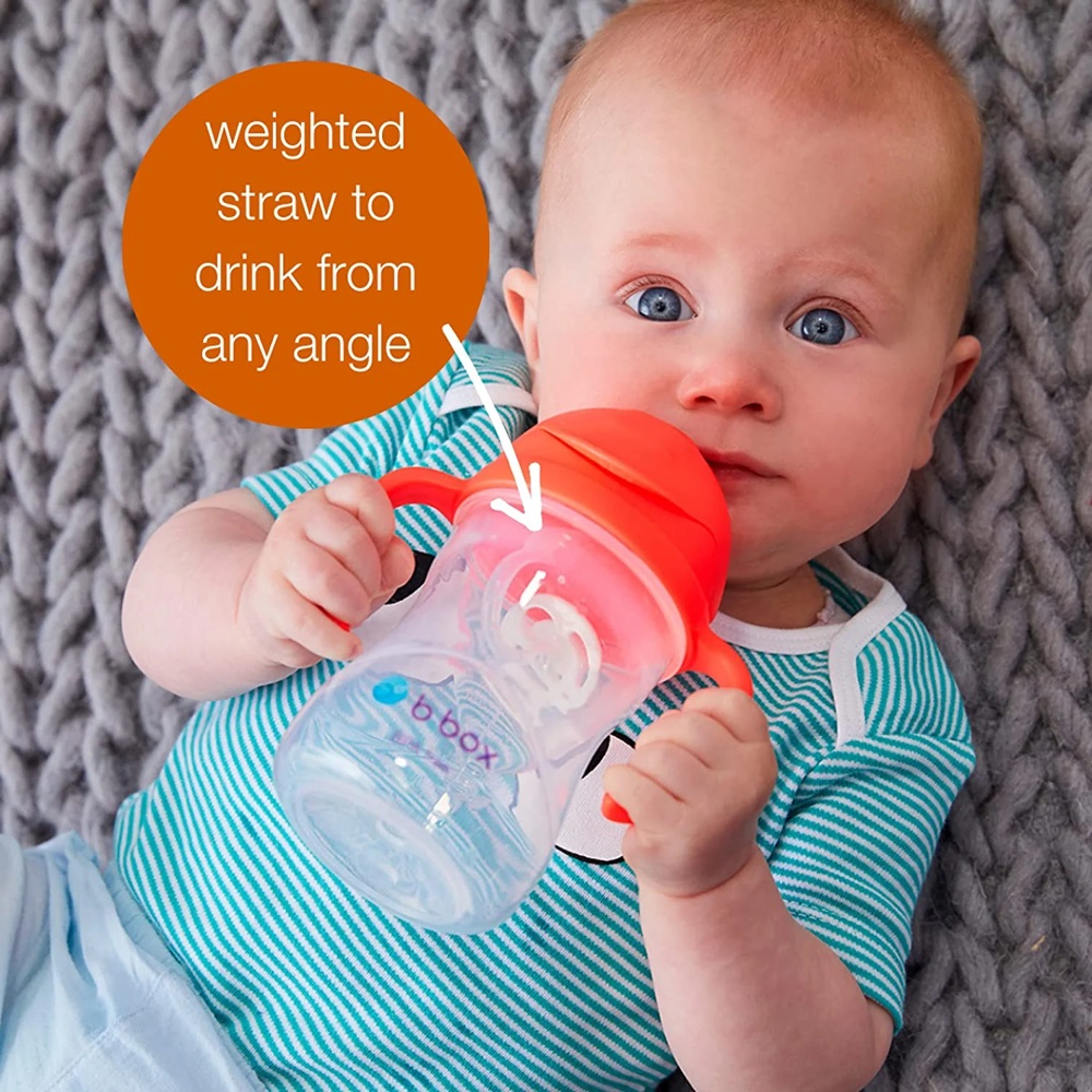 Beebi kõrrega joogipudel B.box Sippy Cup