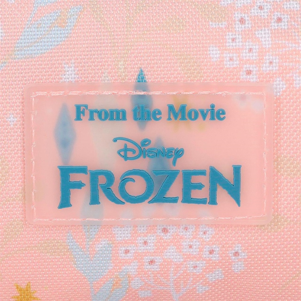 Laste tualetikott Frozen Believe in the Journey Vanity Case