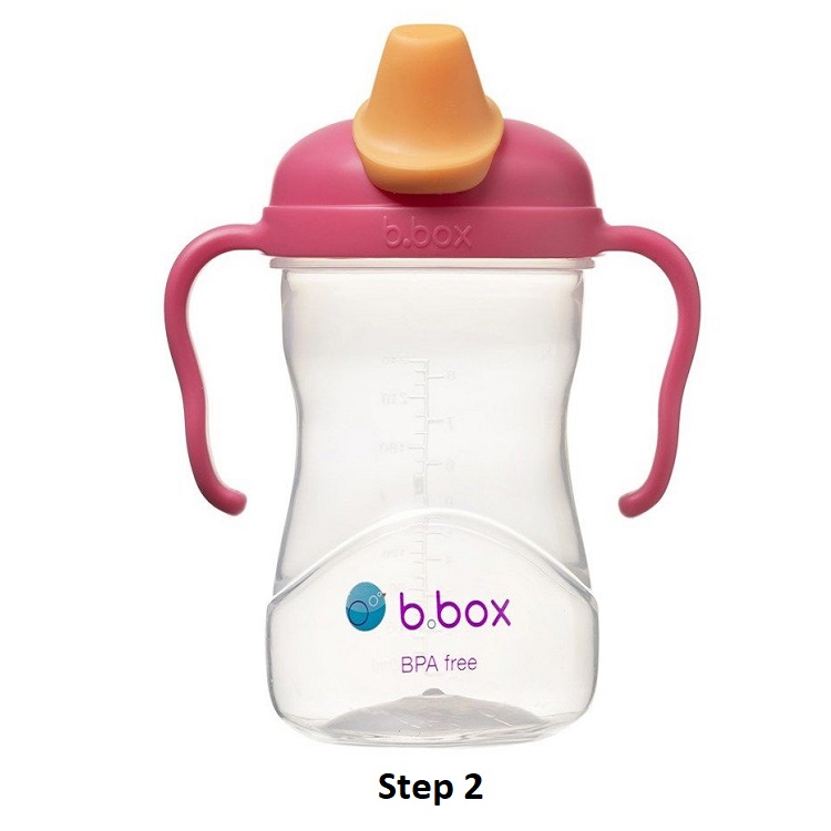 Laste joogipudeli komplekt B.box Raspberry