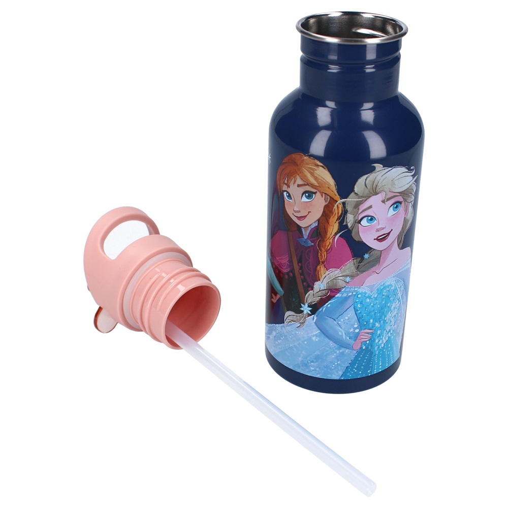 Laste joogipudel Pret Take A Sip Frozen