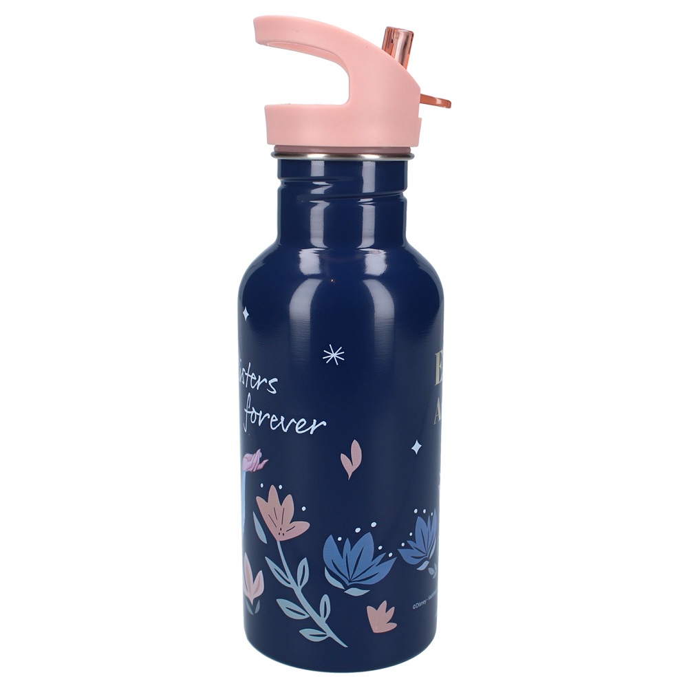 Laste joogipudel Pret Take A Sip Frozen